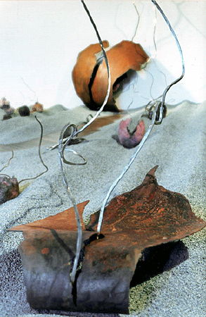 Sylvie de Meurville, vegetal