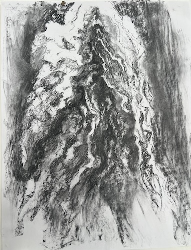 Sylvie de Meurville, Chutes